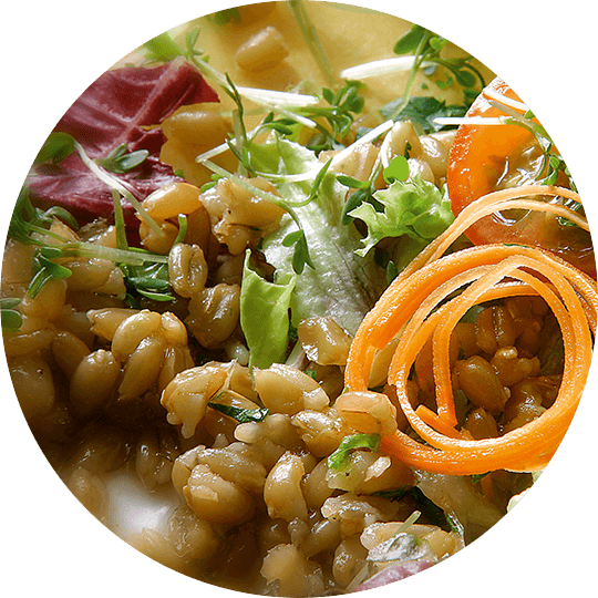 Bunter Salat mit Gruenkern und Karotten garniert