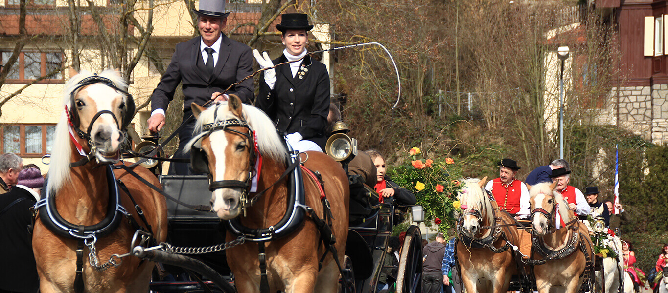 Pferdekutschen mit Pferdewägen beim traditionellen Pferdemarkt in Bad Mergentheims Innenstadt.