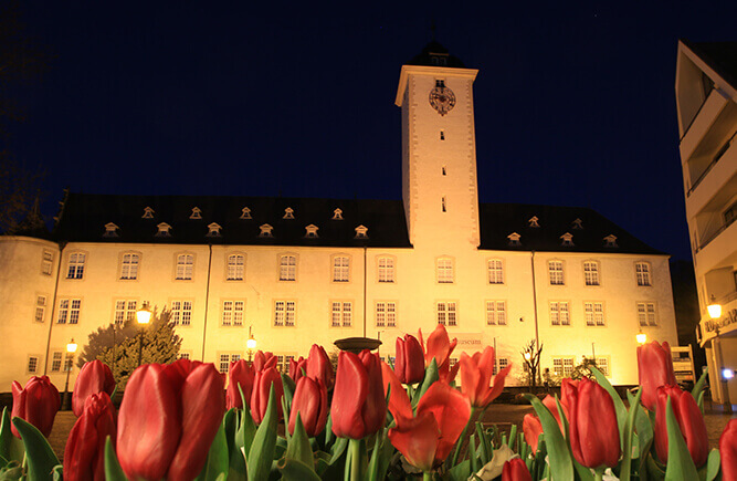 Blühende Tulpen auf dem Deutschordensplatz, im Hintergrund das Residenzschloss in Bad Mergentheim.